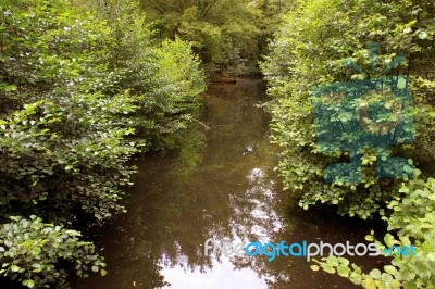 River In Underwood Stock Photo