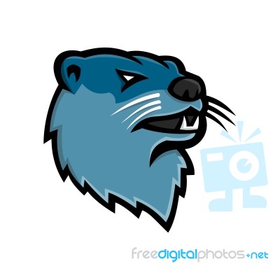 River Otter Head Mascot Stock Image