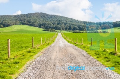 Road Stock Photo