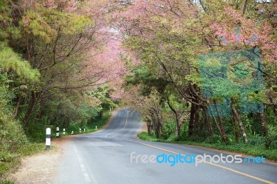 Road Stock Photo