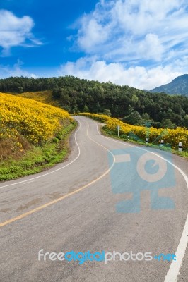 Road At Top Of The Mountain Stock Photo