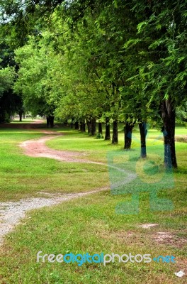 Road In A Ggarden Stock Photo