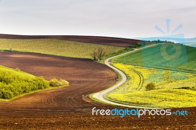 Road In Moravia Hills In April. Spring Fields Stock Photo