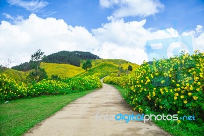 Road In The Mountains Stock Photo