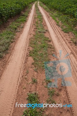 Road Track Stock Photo