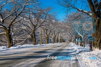 Road With Snow In Winter, Seoraksan In South Korea Stock Photo