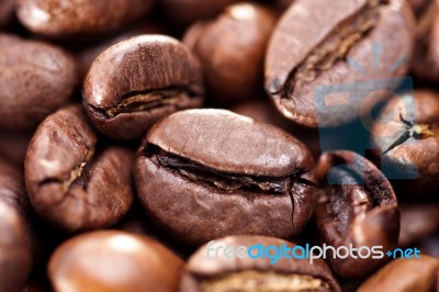 Roasted Beans Of Coffee Stock Photo