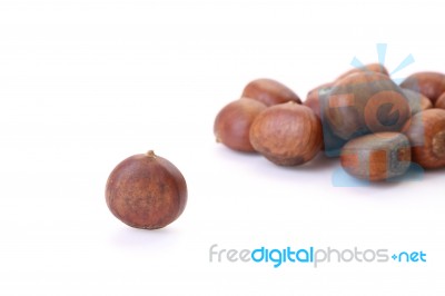 Roasted Chestnuts On White Floor Stock Photo