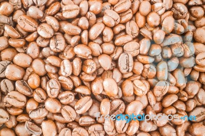 Roasted Coffee Bean And Business Card Stock Photo