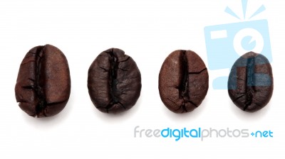 Roasted Coffee Bean  On The White Background Stock Photo