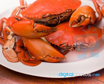 Roasted Crab Stock Photo