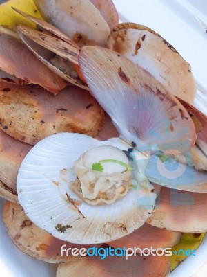 Roasted Scallops Stock Photo