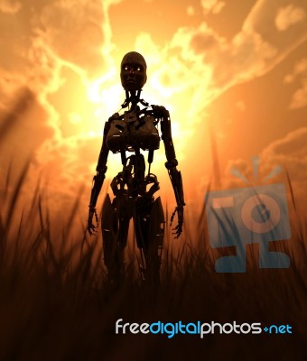 Robot In Field With Sunlight From Behind,fantasy Conceptual Stock Image