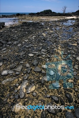 Rock And Stone In The Beach Stock Photo