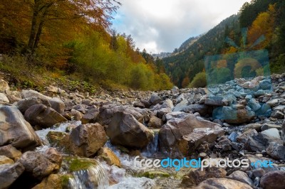 Rock River Bed In The Autumn Alps Stock Photo