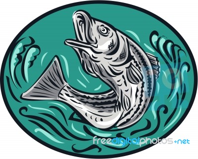 Rockfish Jumping Color Oval Drawing Stock Image