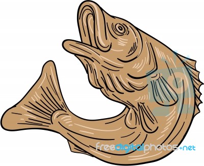 Rockfish Jumping Up Drawing Stock Image