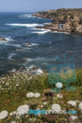 Rocks Formations On Alentejo Coastline Stock Photo