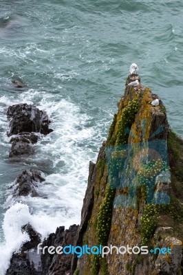 Rocky Coastline At Bude Stock Photo