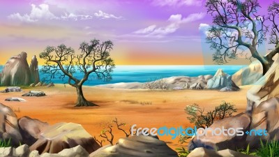 Rocky Shore With Lonely Tree Stock Image