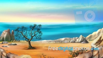 Rocky Shore With Lonely Tree Against Blue Sky At Dawn Stock Image