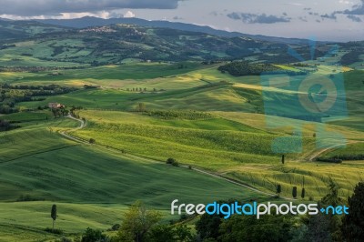 Rolling Hills Of Val D'orcia Tuscany Stock Photo