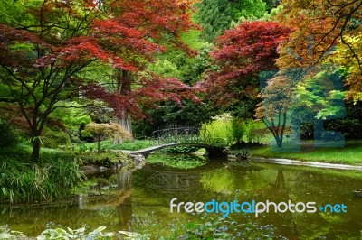 Romance. A Fragment Of The Gardens Of Villa Melzi , Italy Stock Photo