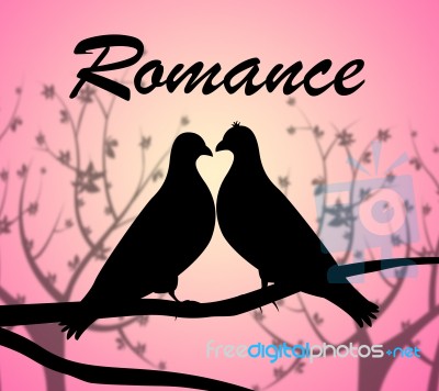 Romance Doves Shows Love Birds And Adoration Stock Image