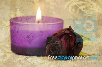 Romantic Composition Stock Photo