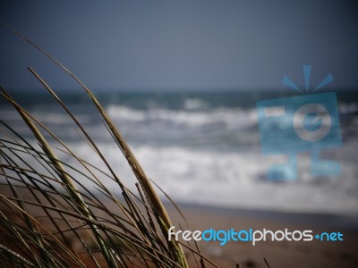 Romantic Sea Stock Photo