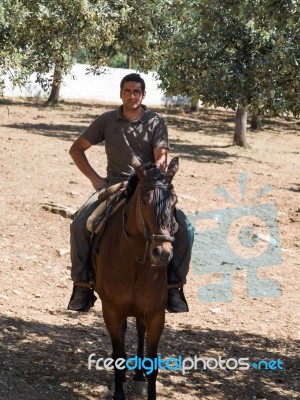 Ronda, Andalucia/spain - May 8 : Horse Rider At A Farm Near Rond… Stock Photo