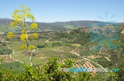 Ronda, Andalucia/spain - May 8 : View Of The Countryside From Ro… Stock Photo