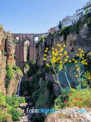 Ronda, Andalucia/spain - May 8 : View Of The New Bridge In Ronda… Stock Photo