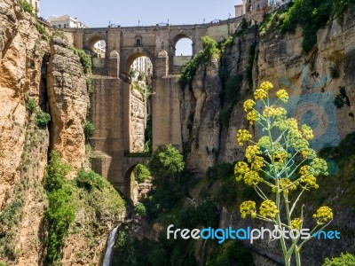 Ronda, Andalucia/spain - May 8 : View Of The New Bridge In Ronda… Stock Photo