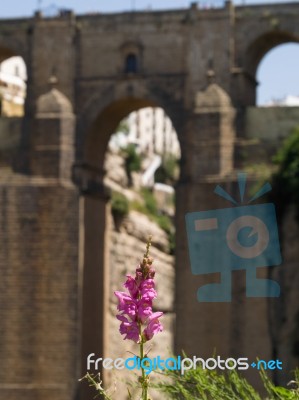 Ronda, Andalucia/spain - May 8 : View Of The New Bridge In Ronda… Stock Photo