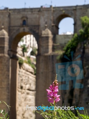 Ronda, Andalucia/spain - May 8 : View Of The New Bridge In Ronda… Stock Photo