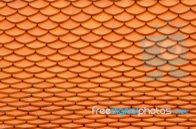 Roof Tiles Stock Photo