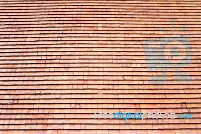 Roof Tiles Stock Photo