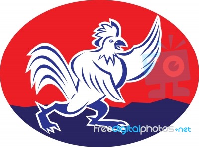 Rooster Chicken Pointing Wing Cartoon Stock Image