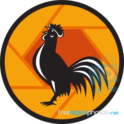 Rooster Crowing Shutter Circle Retro Stock Image