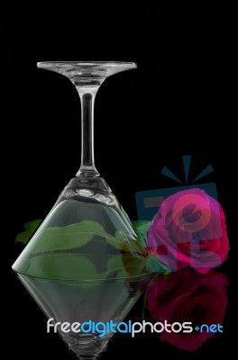 Rose And Overturned Cocktail Glass Stock Photo