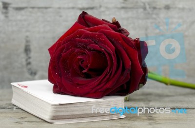 Rose On Playing Cards Stock Photo