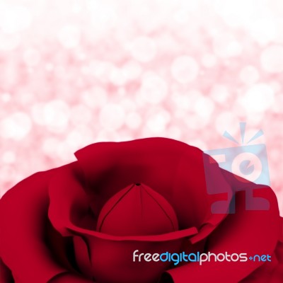 Rose With Bokeh Background Stock Image