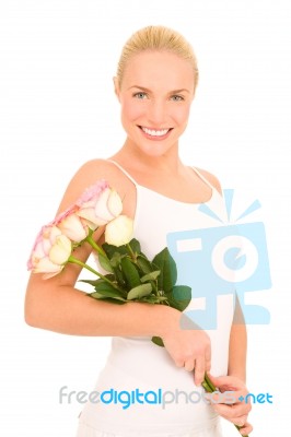 Roses Gift Stock Photo