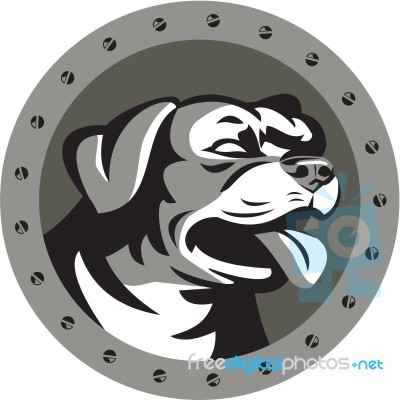 Rottweiler Guard Dog Head Metallic Circle Retro Stock Image