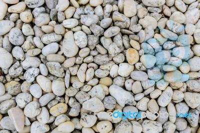 Rounded Stones White And Gray On Beach As Background Stock Photo