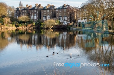 Row Of Houses By A Lake At Hampstead In London Stock Photo