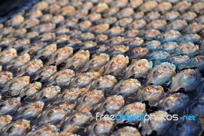 Row Of Salt Fish Dry Under The Sun Stock Photo