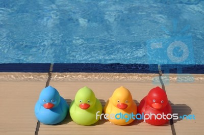 Rubber Ducks Stock Photo