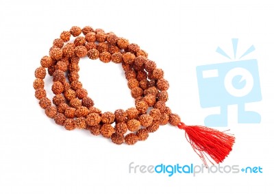 Rudraksha Rosary In A Female Hand. Japa Mala Stock Photo